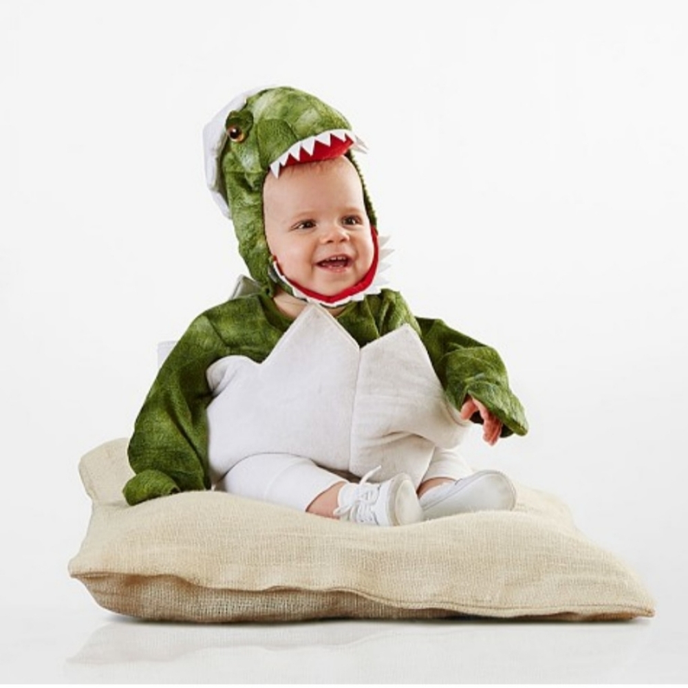 Pottery Barn Kids 6-12 months dinosaur costume.
